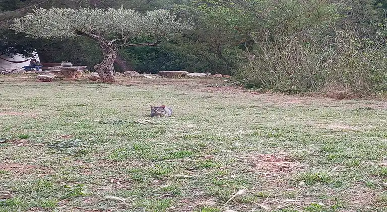 Hytte i Sant Salvador de Guardiola