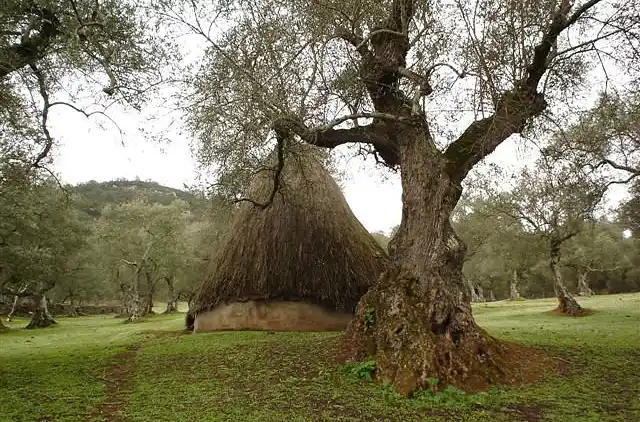 Indkvartering i afslappende område omgivet af natur