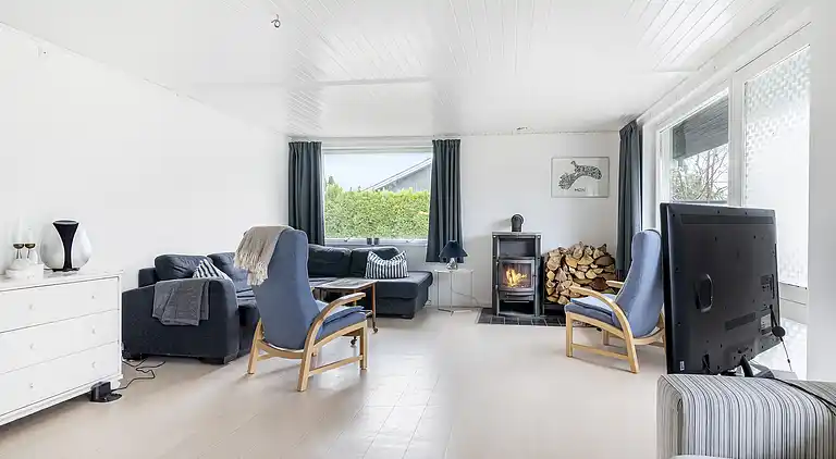 Sommerhus nær vand, skov og Møns Klint