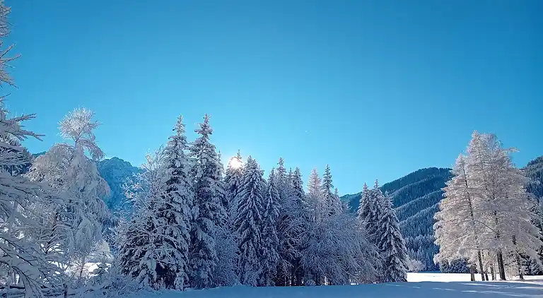 Apartment in Ferlach