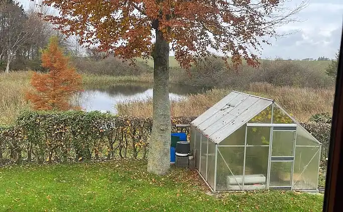 Rummelige sommerhus omgivet af skov 