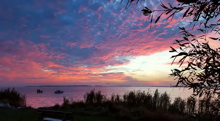 Apartment in Born am Darß