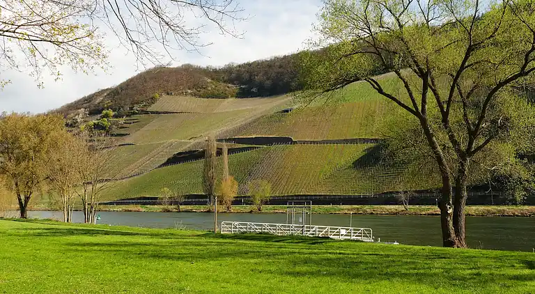 Ferienwohnung in Trittenheim