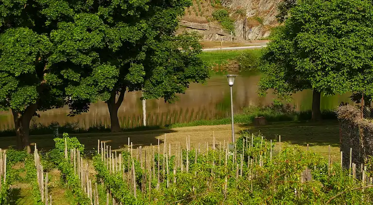 Ferienwohnung in Trittenheim