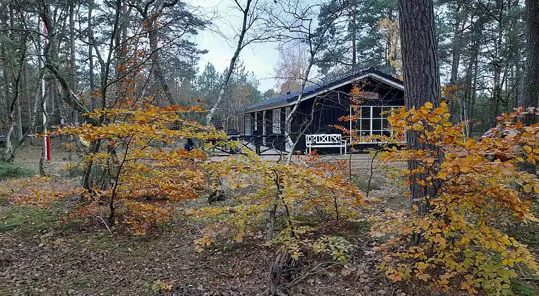 Ferienhaus mitten im Wald, nah am Wasser.