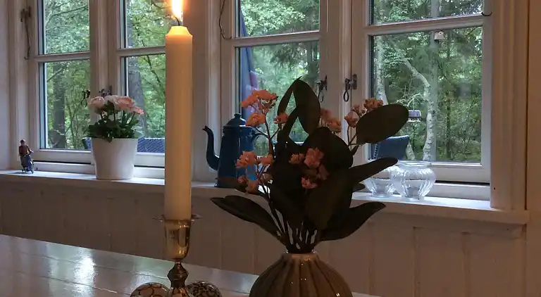 Ferienhaus mitten im Wald, nah am Wasser.