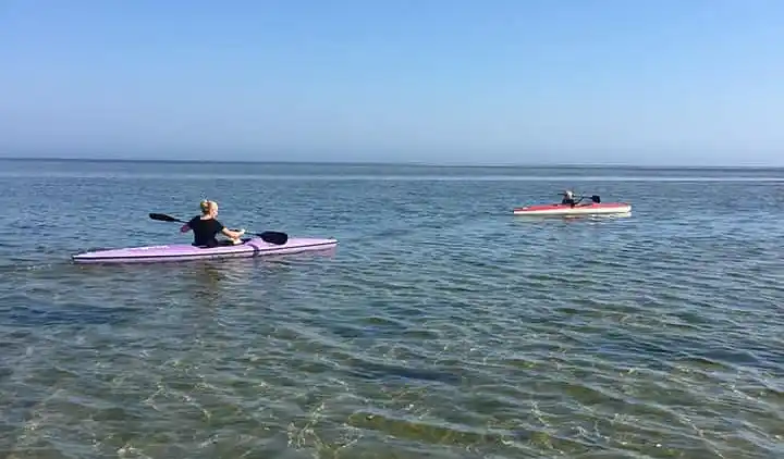 Ferienhaus mitten im Wald, nah am Wasser.