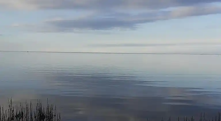 Ferienhaus mitten im Wald, nah am Wasser.
