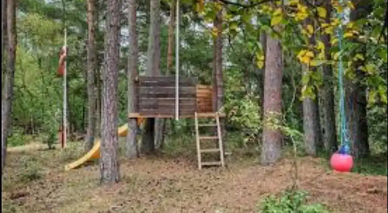 Ferienhaus mitten im Wald, nah am Wasser.
