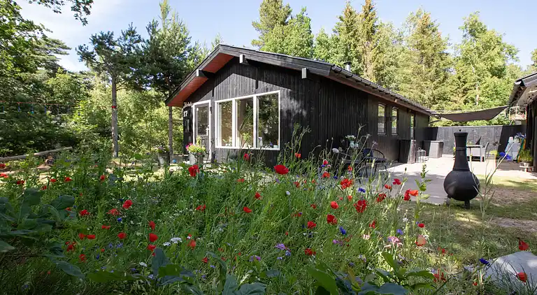 Hyggeligt sommerhus, der ligger utrolig naturskøn