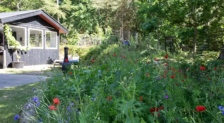 Hyggeligt sommerhus, der ligger utrolig naturskøn
