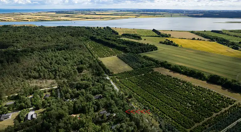 Hyggeligt sommerhus, der ligger utrolig naturskøn
