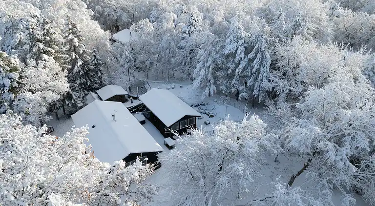 Hyggeligt sommerhus, der ligger utrolig naturskøn
