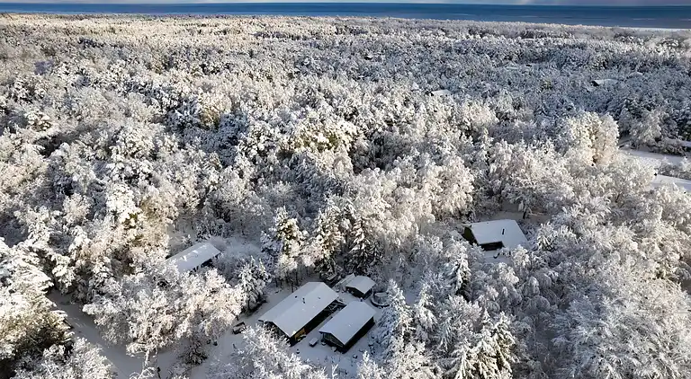 Hyggeligt sommerhus, der ligger utrolig naturskøn