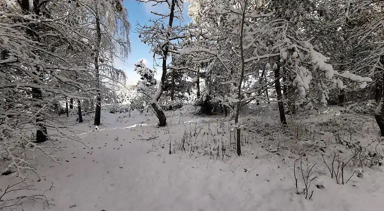 Hyggeligt sommerhus, der ligger utrolig naturskøn