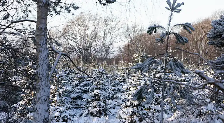 Hyggeligt sommerhus, der ligger utrolig naturskøn