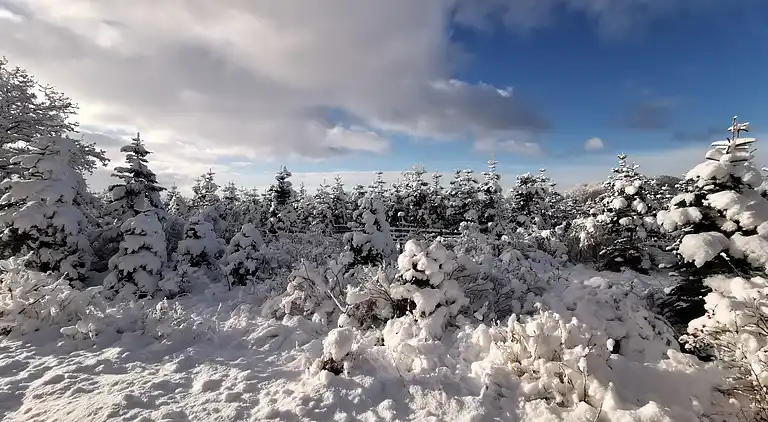 Hyggeligt sommerhus, der ligger utrolig naturskøn
