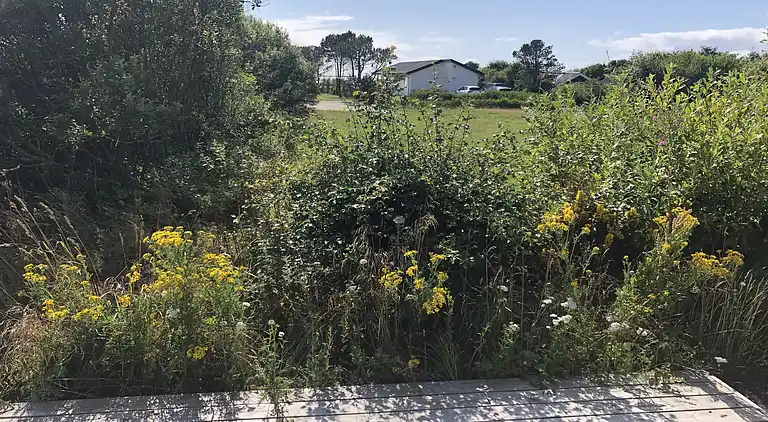 Sommerhaus in der Nähe von Limfjord und Nordsee