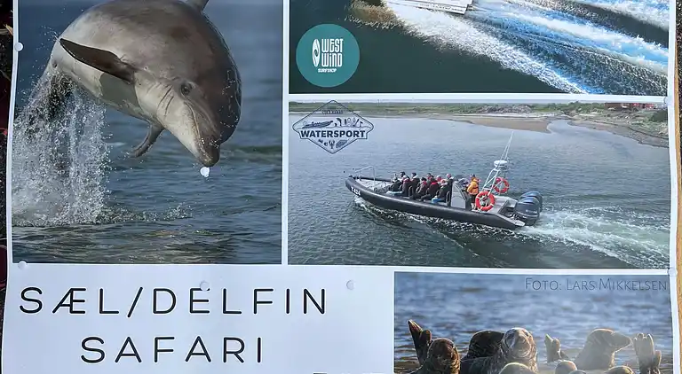 Sommerhaus in der Nähe von Limfjord und Nordsee