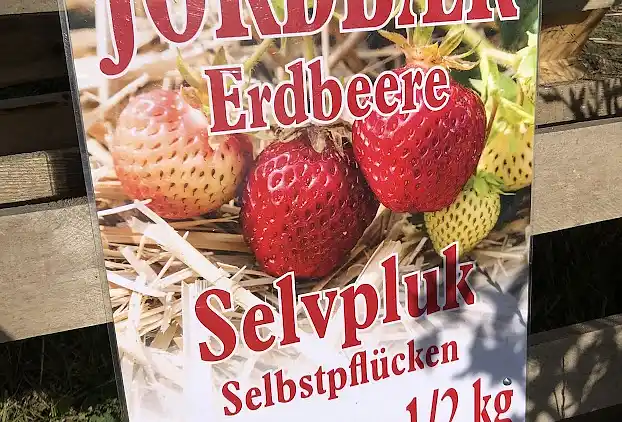 Sommerhaus in der Nähe von Limfjord und Nordsee