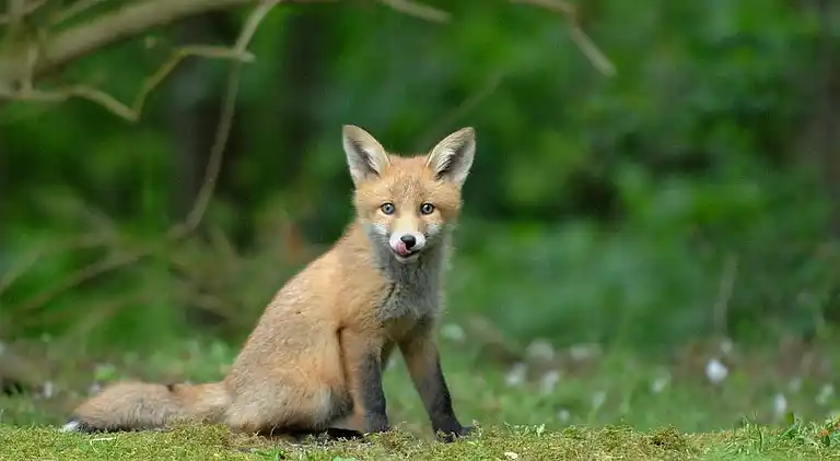 Sommerhus i idylliske kystområde