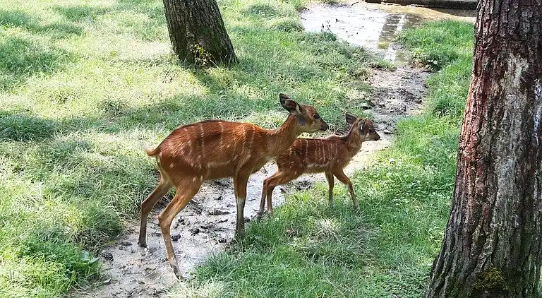 Sommerhus i idylliske kystområde
