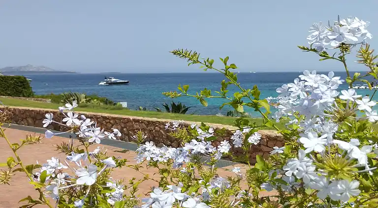 Strandwohnung Baja Sardinia - Vermietet vom 25. Juli 2026