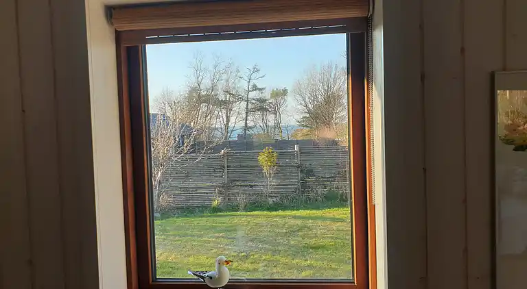 Lækkert sommerhus med shelter og natur