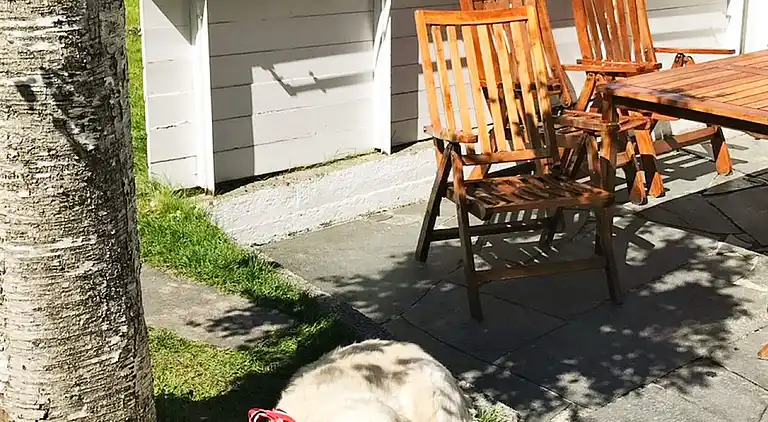 Holiday home in Måløy