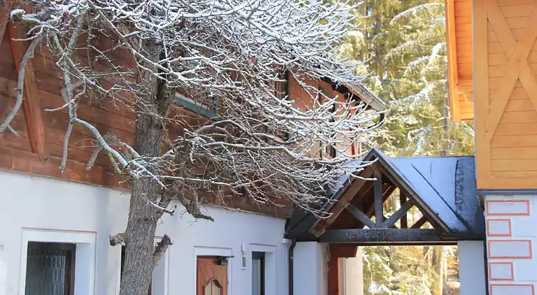 Cottage in Mariapfarr