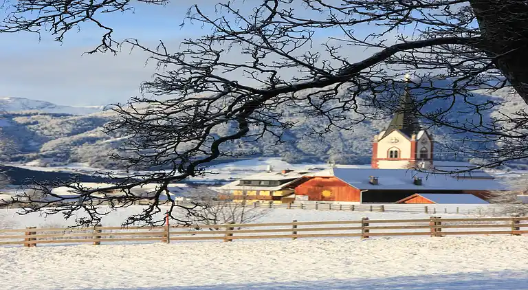 Cottage in Mariapfarr