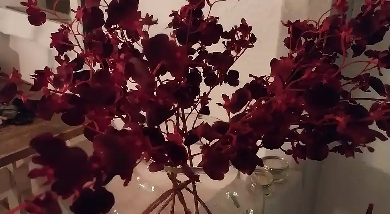 Hyggeligt hus på landet  i roligt område.