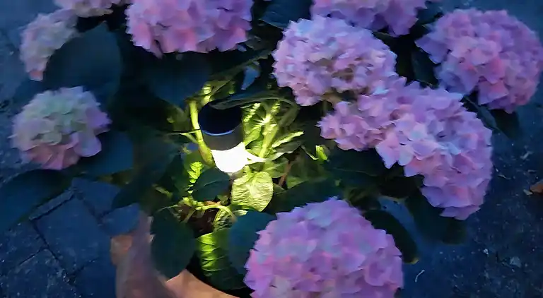 Hyggeligt hus på landet  i roligt område.