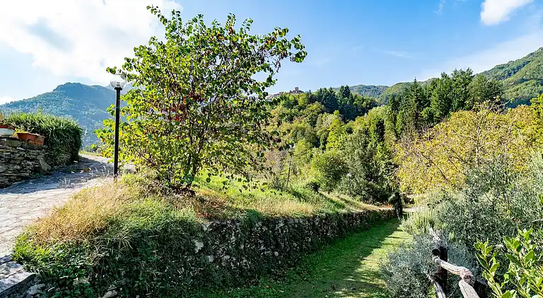 Hytte i Fabbriche di Vergemoli