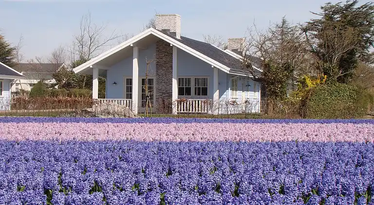 Semesterbostad i South Holland