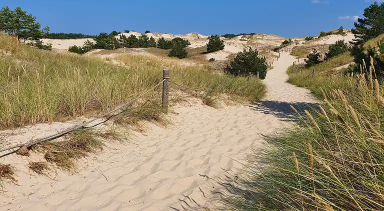 Chalet in Smołdziński Las