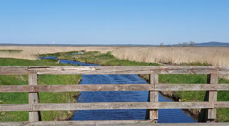 Chalet in Smołdziński Las
