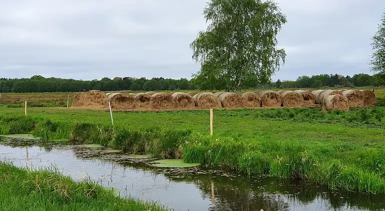 Chalet in Smołdziński Las