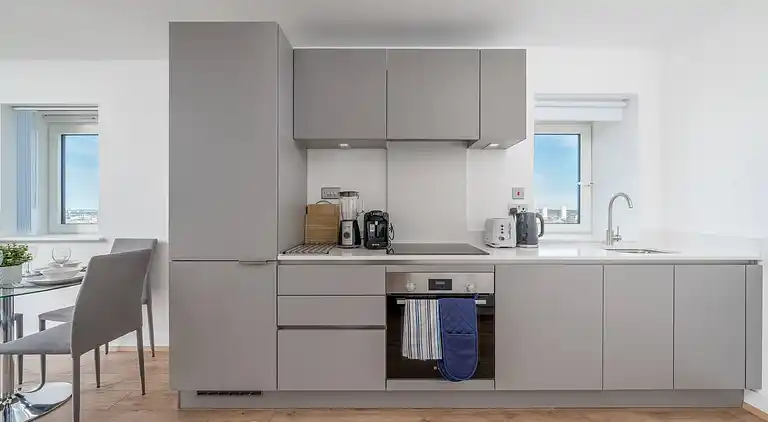 Skyvillion 2 Bed Apt London Excel  O2 Arena