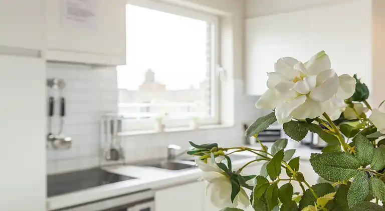 Apartment in Middelkerke