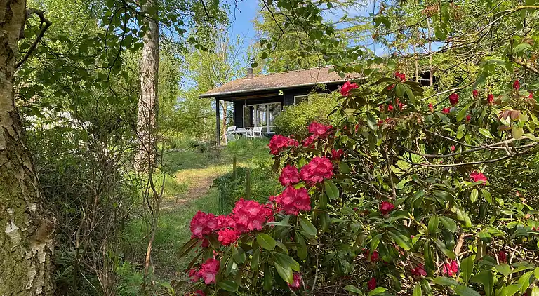 Sommerhus ved Veddinge i hyggelig 70’er stil