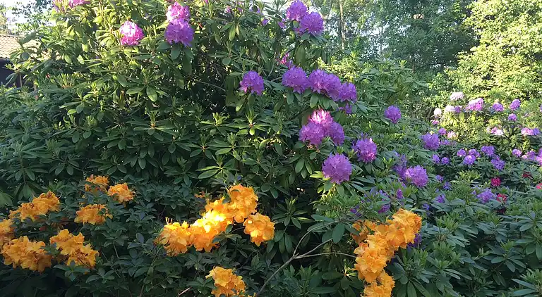 Sommerhus ved Veddinge i hyggelig 70’er stil