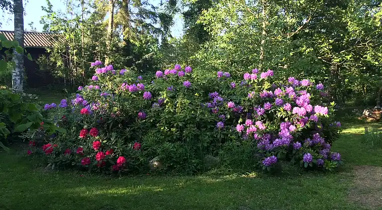 Sommerhus ved Veddinge i hyggelig 70’er stil