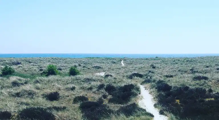 Nydelig feriehus nær strand og natur