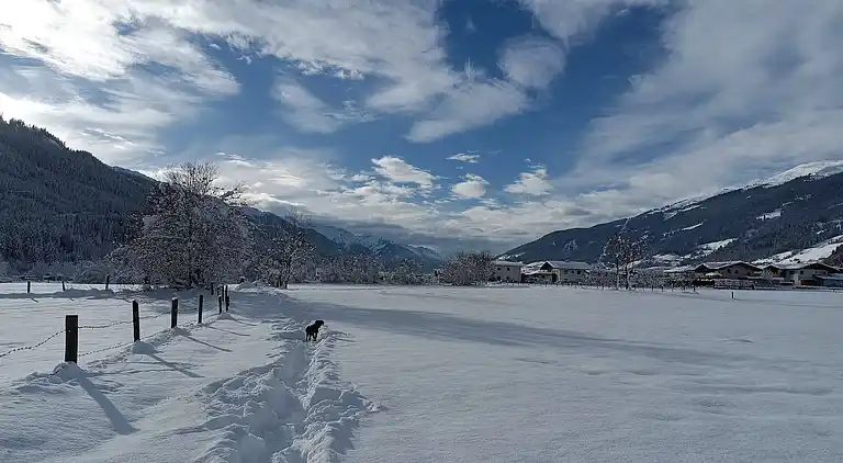 Ferielejlighed i Paßturn