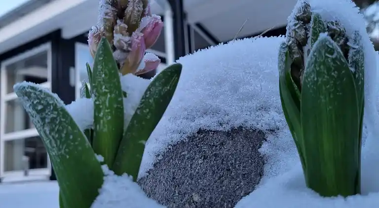 Lækkert 10 personers sommerhus med sauna og spa.