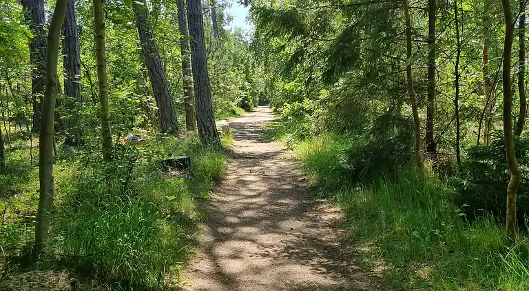 Lækkert 10 personers sommerhus med sauna og spa.