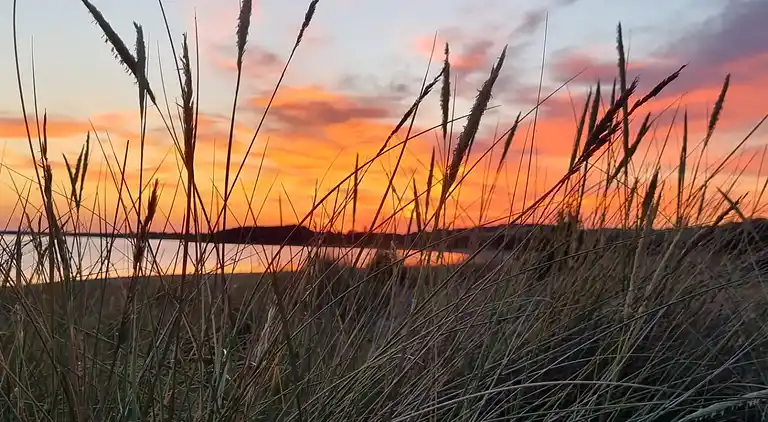 Lækkert 10 personers sommerhus med sauna og spa.