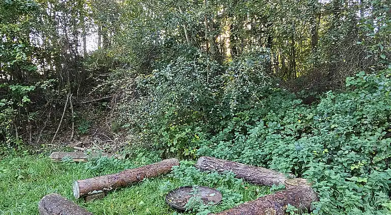 Charmantes, älteres Ferienhaus in der Natur