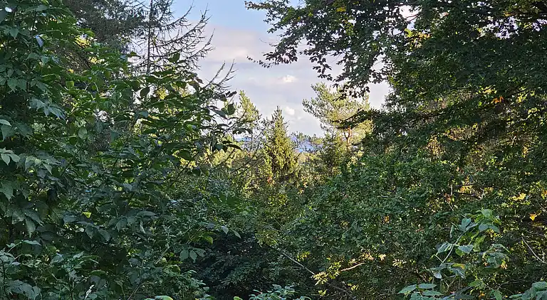 Charmantes, älteres Ferienhaus in der Natur